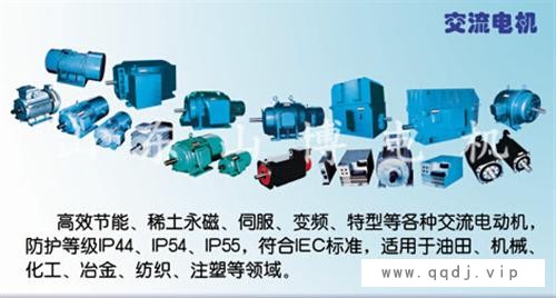 风力永磁电机,辽宁永磁电机,山博电机集团图1