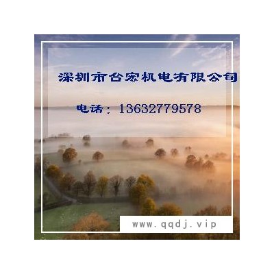 微型力矩电机