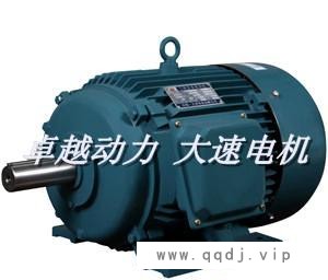 定做三相400V异电压三相异步电机马达（电动机）图1