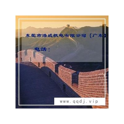 HRS-555SP永磁电机1