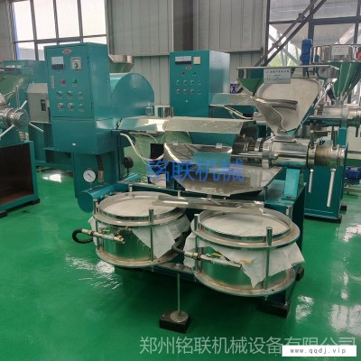 热销全自动螺旋榨油机 大型菜籽花生榨油机 60型节能滤油机