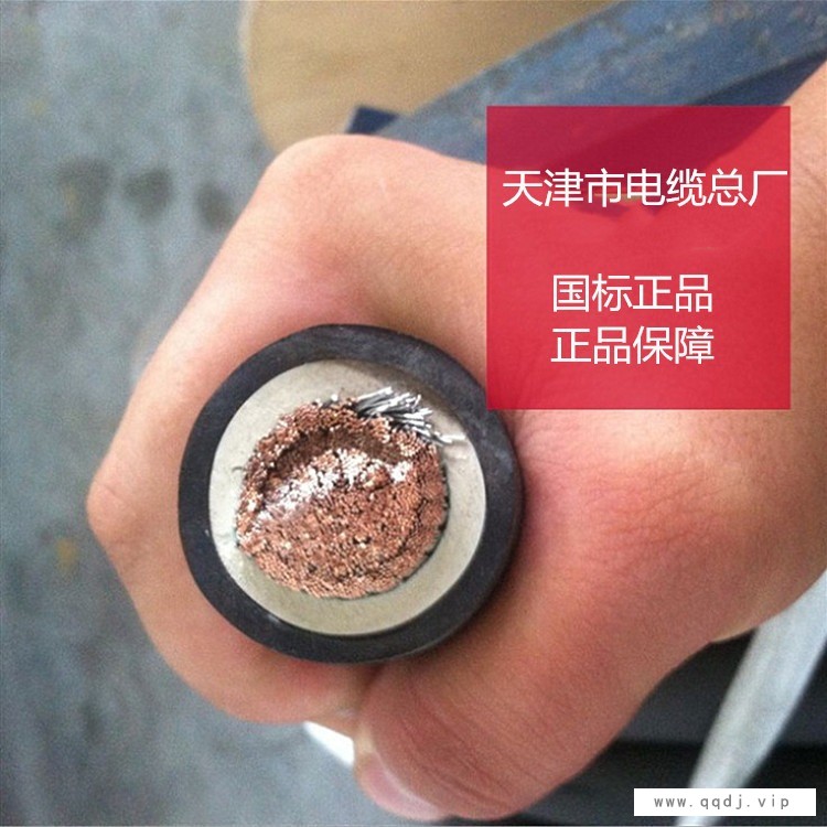 JBQ电机引接线50mm2 软铜芯橡胶电缆 电机引出线1*70mm2图1