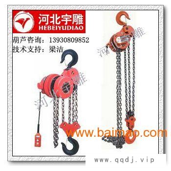 5吨爬架电动葫芦双链葫芦|群吊环链电动葫芦采用G8图1