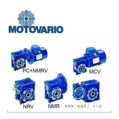 摩多利MOTOVARIO减速机