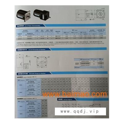 10W微型感应式定速电机
