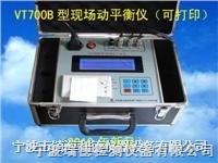 现场动平衡测量仪RD800B型图1