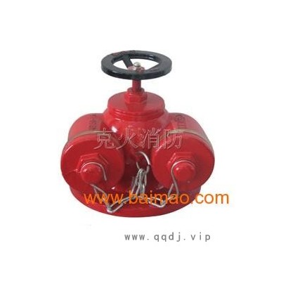 多用式地上式水泵接合器SQD100-1.6