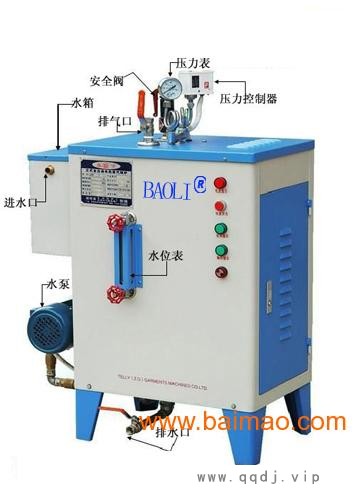 蒸汽发生器 12千瓦蒸汽发生器图1