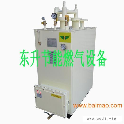 东莞市LPG**汽化器生产厂家，价格、图片、型号图1