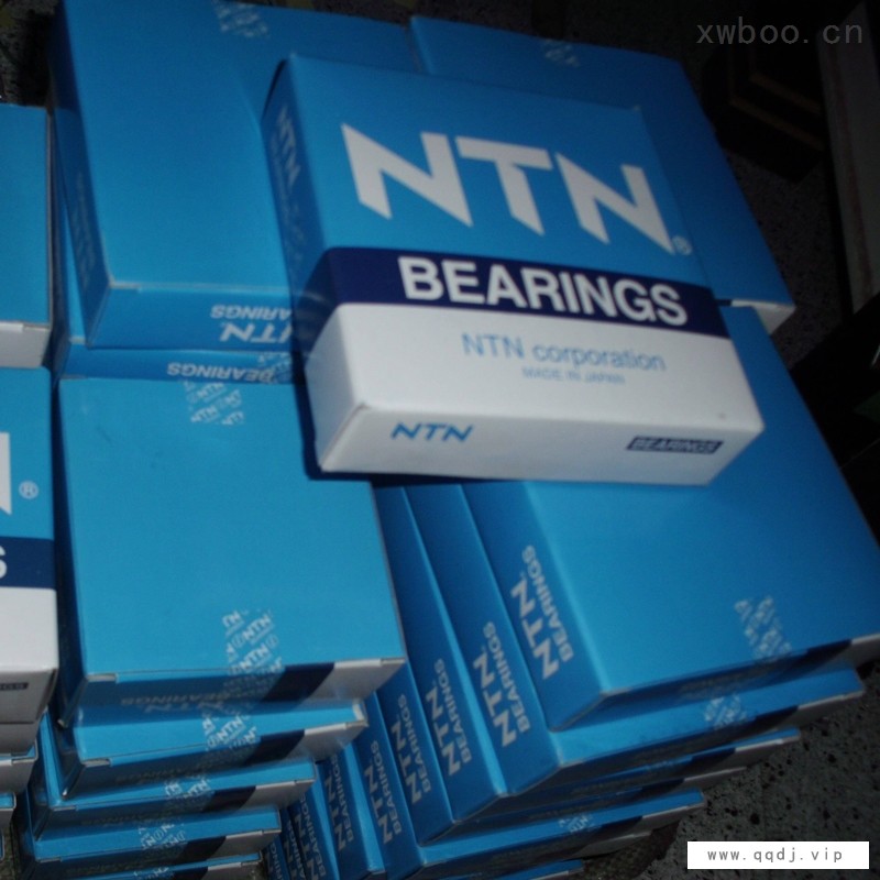 NTN 6022-2RZ轴承图1