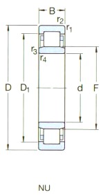 *NUP228ECM图1