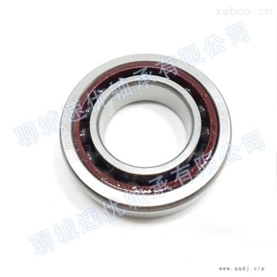 H719C/ACHQ1(陶瓷球)