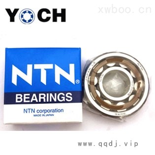 进口轴承NTN圆柱滚子轴承NJ304E图1