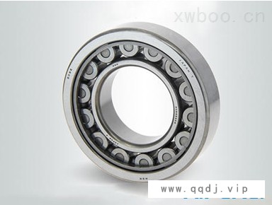 成都进口轴承-圆柱滚子轴承图1