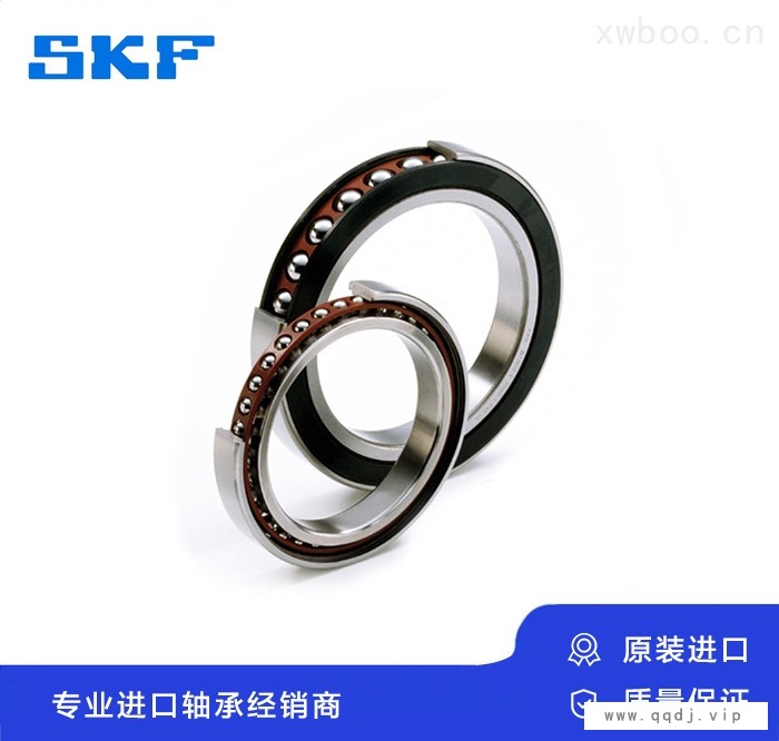 7213 CDGA/P4A角接触球轴承图1