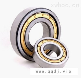 NSKNN3010KCC1P5圆柱滚子轴承图1