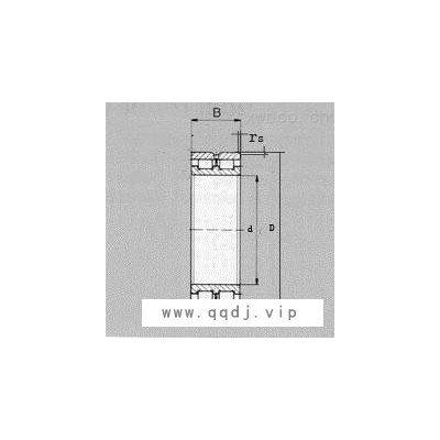 双列满装圆柱滚子轴承NNCL(SL02)