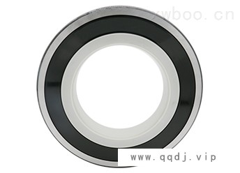 6318-2RS1/C3VL0241图1