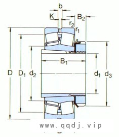 H2313图1