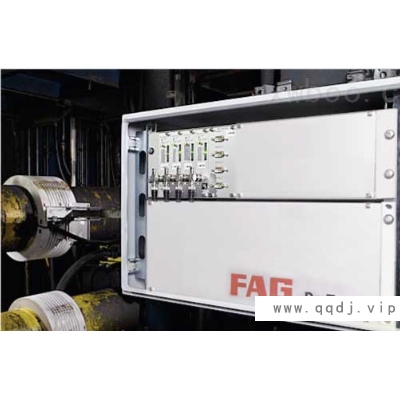 FAG在线监测系统ProTorq