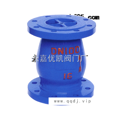 不锈钢*止回阀
