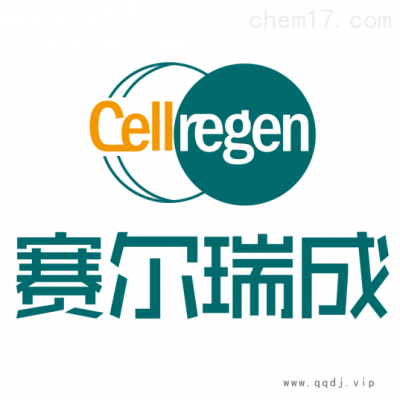 表达载体构建服务