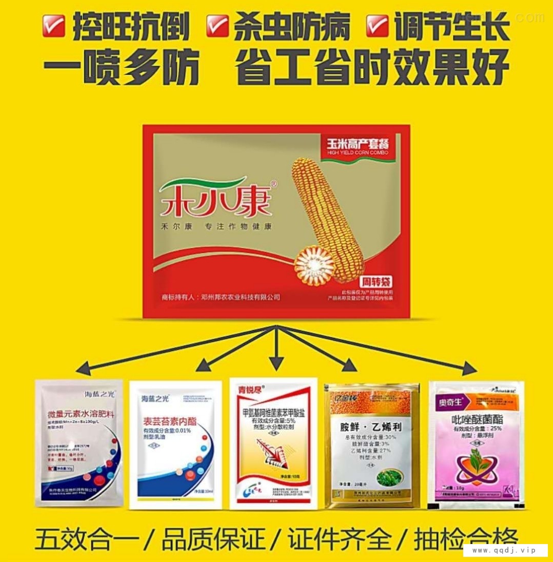 玉米矮壮素高产套餐图1