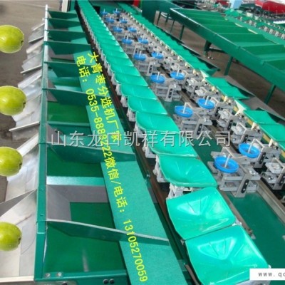 多功能全自动中国台湾青枣分选机，分选青枣大小机器