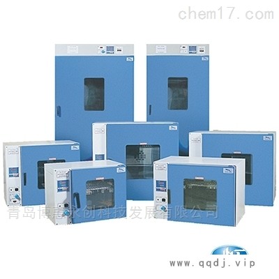 上海一恒干燥箱（自然对流）DHG-9201A图1