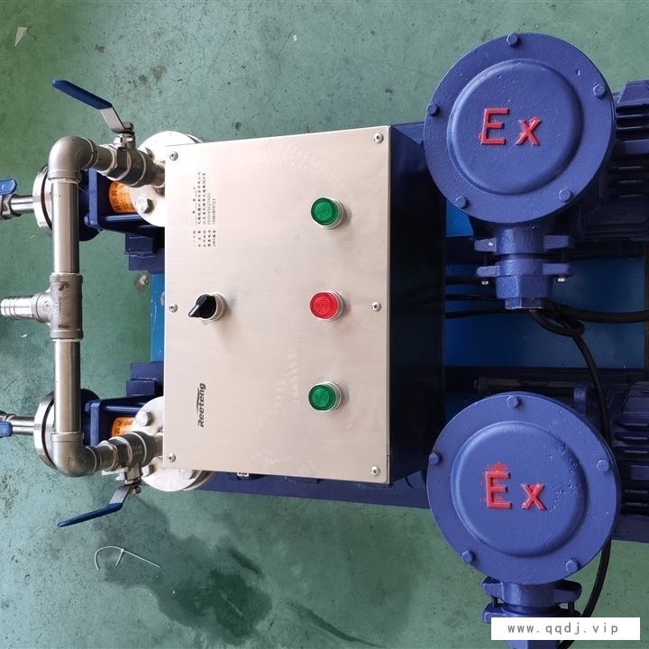 原油循环泵图1