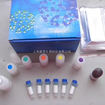 人二级淋巴组织趋化因子（SLC/CCL21）ELISA 试剂盒
