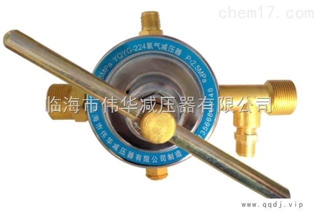YQT-224氧气减压器图1