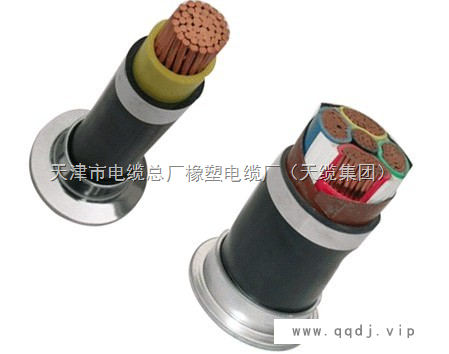 RVVZ通信设备电源线3*16+1*10MM2价格图1
