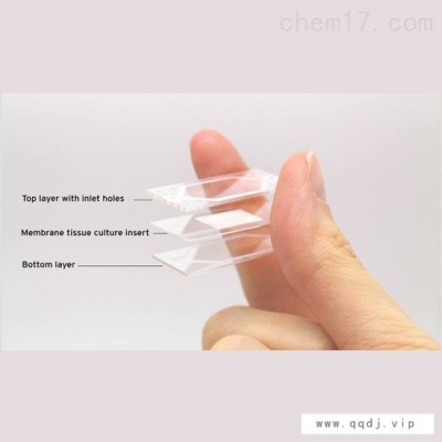 Micronit 微流控器官细胞培养芯片