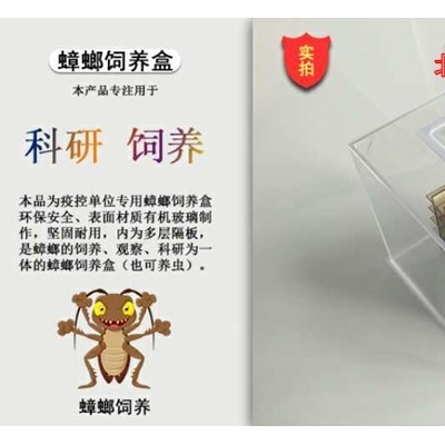 昆虫养虫笼  蟑螂养虫缸 透明有机玻璃 现货