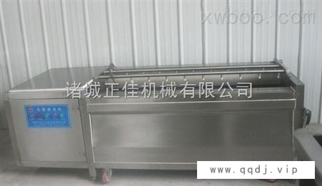 果蔬气泡清洗机图1