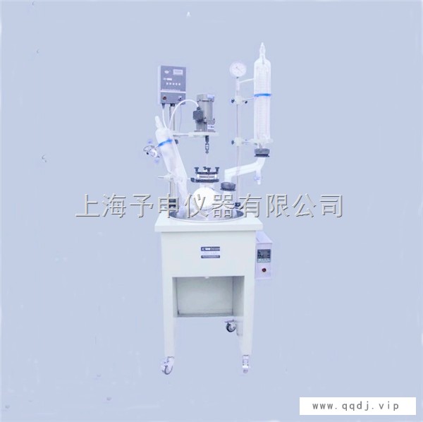 上海予申F-10L单层玻璃反应釜图1