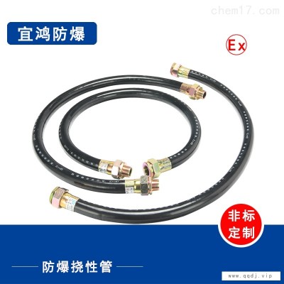 防爆挠性管型号规格BNG-20*700mm