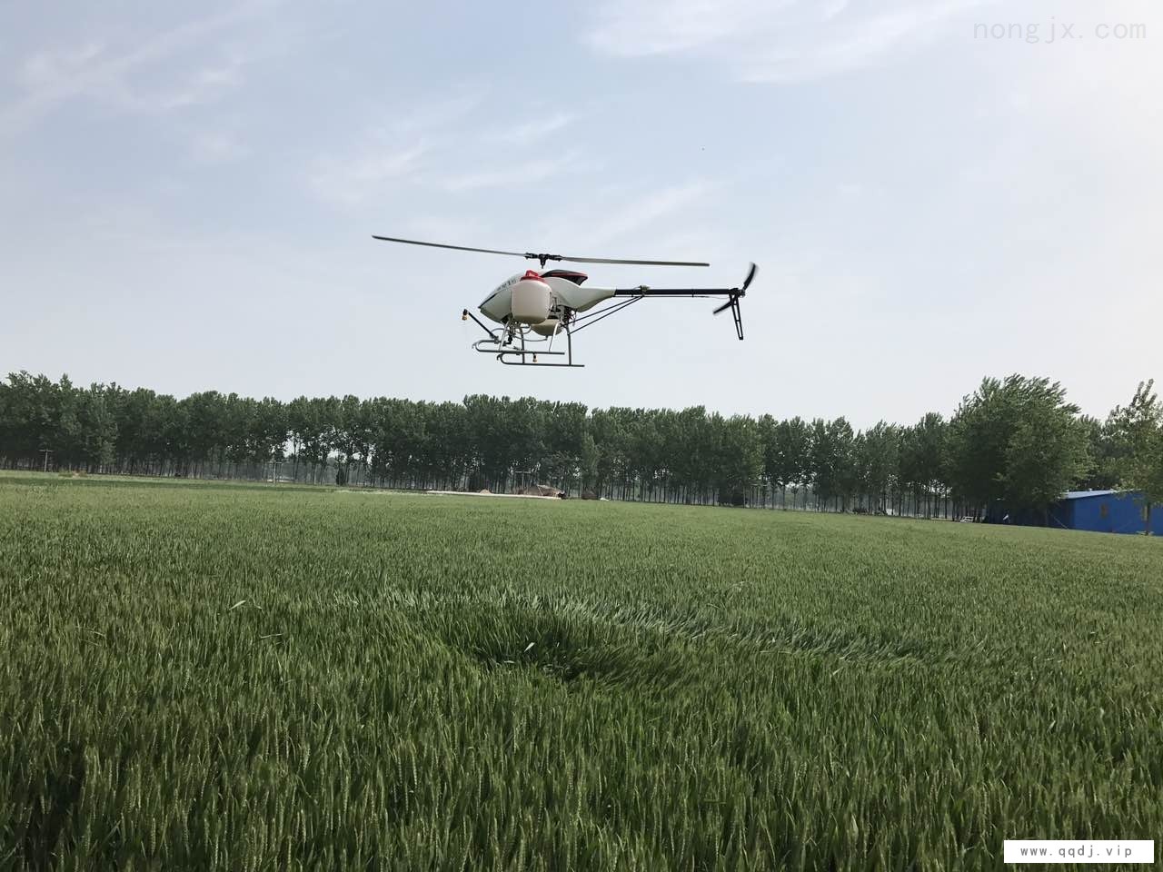 高效植保工具喷药直升机图1