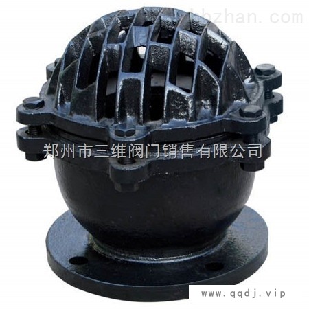 H42吸水底阀图1