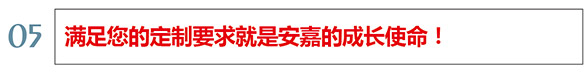 安嘉使命 安嘉使命