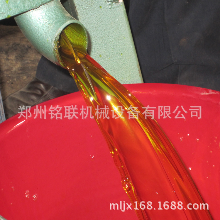 高速毛油滤油机 花生大豆筛网过滤机 新型真空芝麻滤油机示例图13