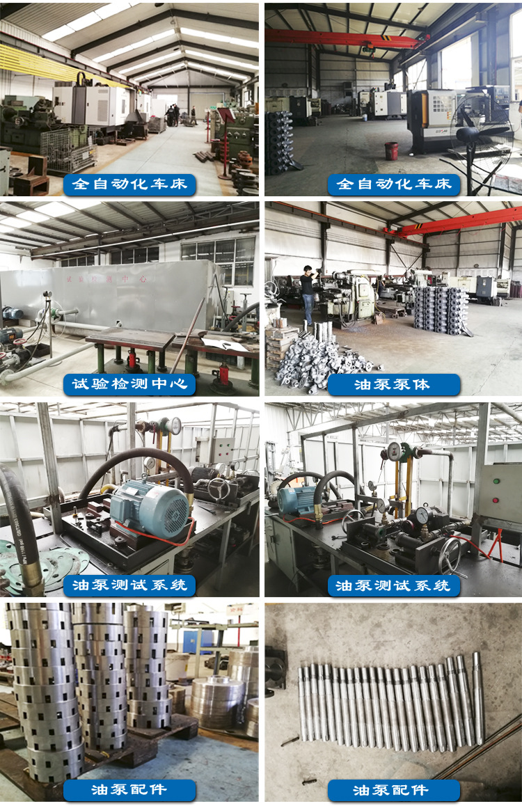 厂家直销 圆弧齿轮泵 ycb双圆弧正弦曲线齿轮油泵 圆弧泵批发示例图22