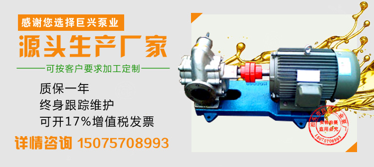 批发 不锈钢防爆齿轮泵 卧式电动kcb耐腐蚀管道泵大流量齿轮油泵示例图1