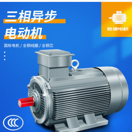 全铜电机YE3-355L2 8极三相异步立式电动机220KW 4 7.5KW电机图2