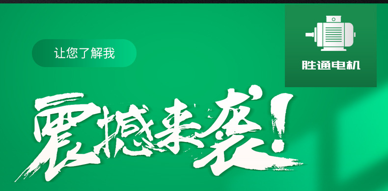 胜通定转子_04.jpg