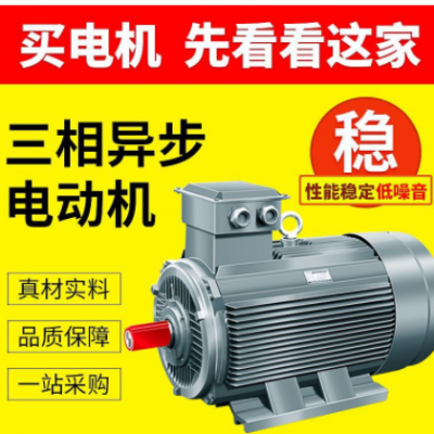 YE3系列电动机 YE3-250M-8三相异步立式电动机 30KW 马达电机