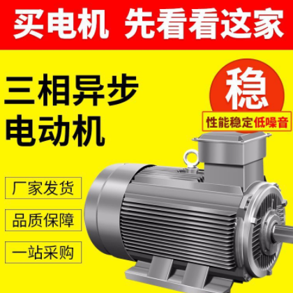 YE3系列电动机 YE3-250M-8三相异步立式电动机 30KW 马达电机图2