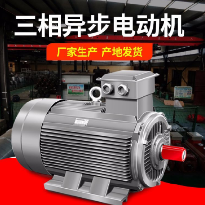 厂家供应电动机 YE3三相异步电动机 200型 异步电动机6极 22千瓦图2