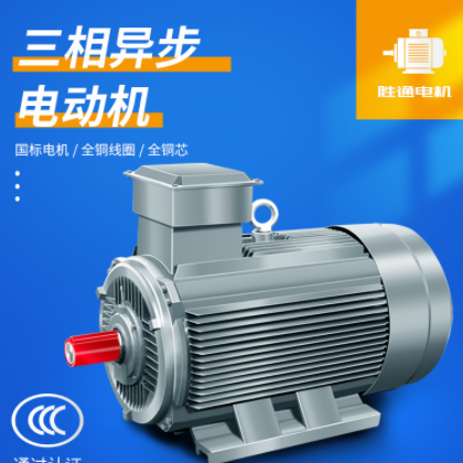 11千瓦 15kw 22kw 30kw 2极4极6极变频电机 三相异步电动机马达图1